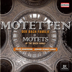 Ich hatte viel Bekummernis, BWV 21 - Sei nun wieder zufrieden, meine Seele