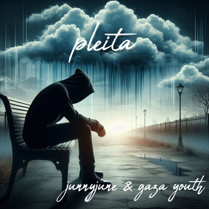 Pleita