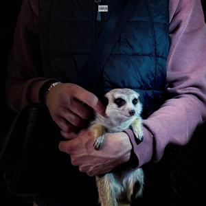 SUD SAVANA (Explicit)