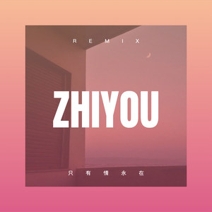 泪蛋蛋掉在酒杯杯里 (Remix)