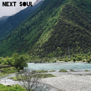 Next Soul