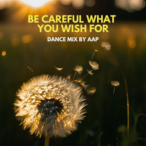 Be Careful What You Wish For ((Dance Mix)) [Explicit]