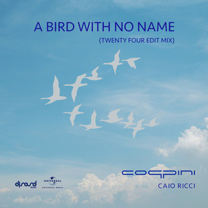 A Bird With No Name (Twenty Four Edit Mix)