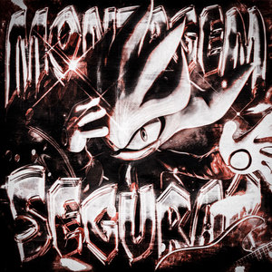 MONTAGEM SEGURAR (Ultra Slowed|Explicit)