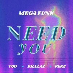 Mega Funk Need You (Explicit)