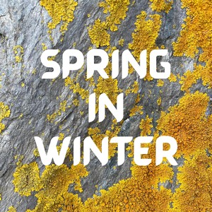 Spring in Winter (feat. Marco Cremaschini, Ayran Nicodemo & Joe Zeitlin) (Demo)