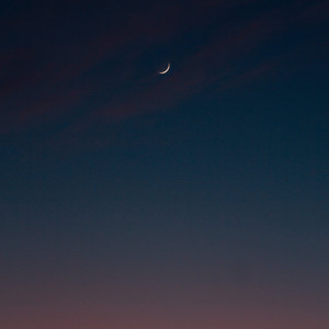 PATIENCE 4AM