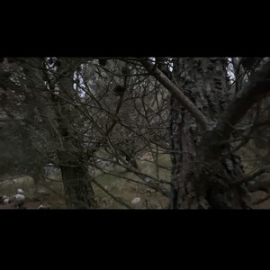 Dentro de Mí(feat. Leirosee) (Explicit)