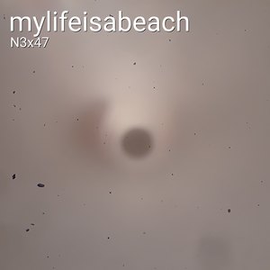 Mylifeisabeach