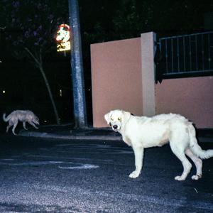 La corsa dei cani (RBN CYPHER) (feat. Colli, TITO SHERPA, Somma Zero, Rakno, TresDeca, Nasty Mike, DOSR, Brattini & Botta OvestRiva) (Explicit)