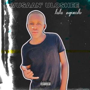 VUSAAN’ ULOSHEE (Explicit)