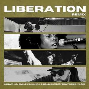 Liberation (Remix) [Explicit]