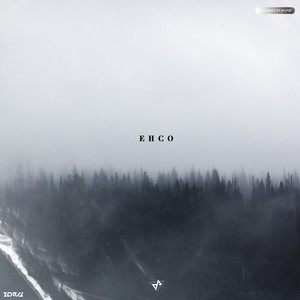 Echo(回声)