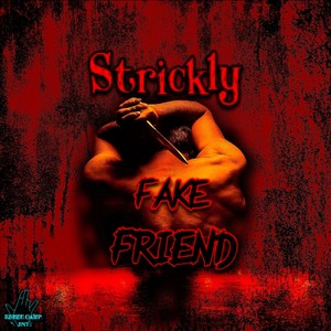 Fake Friend