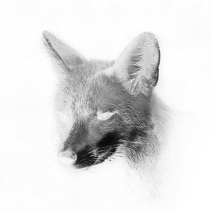 Sleeping