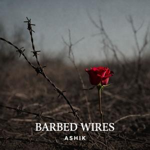 Barbed wires