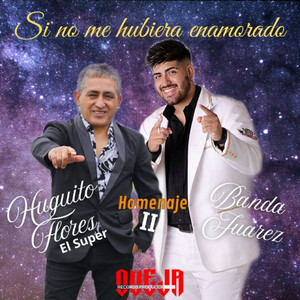 Si no me hubiera enamorado (Homenaje II)