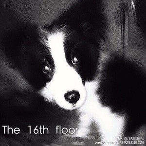 住在16层的少年