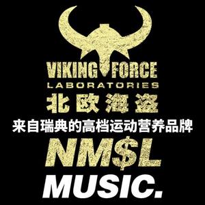 北欧海盗 VIKING FORCE