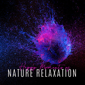 Happy Moments of Nature Relaxation: 2019 Nature & Piano Music Composed to Give You a Perfect Relax, Rest, Calm Nerves, Stress Relief, Good Sleep