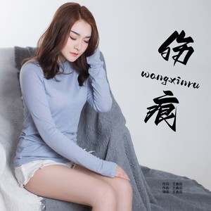 伤痕 (旋律版伴奏)