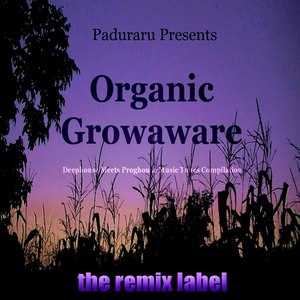 Showing Mercy (Organic Proghouse Mix)