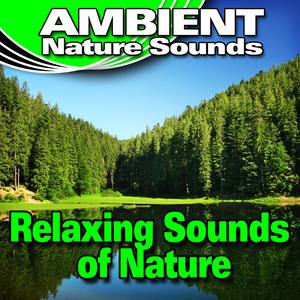 Relaxing Sounds of Nature (Nature Sounds)