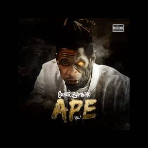 A.P.E. Vol1 Applying Pressure Eternally (Explicit)