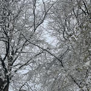 few cents calling (feat. sean franco) (Explicit)