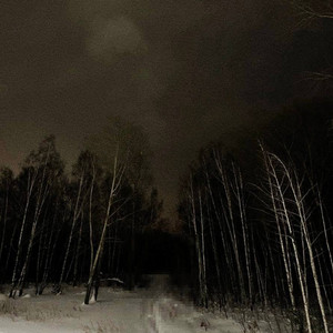 It`s Cloudy in This Forest