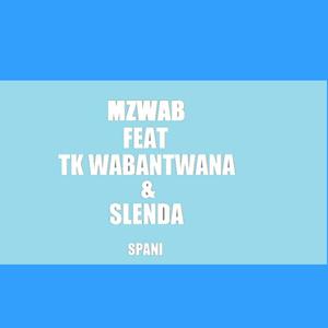 Spani (feat. TK Wabantwana & Slender)