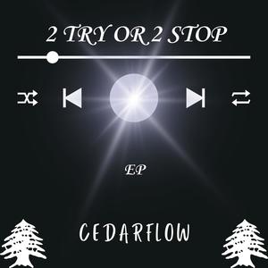 2try (feat. prod. trabbey & alsbeatz)