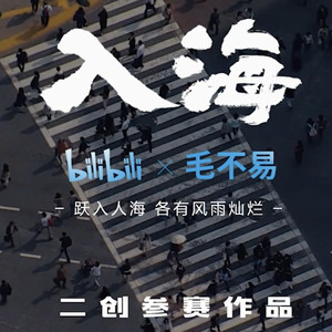 毛不易-毛不易-入海 (JanesK remix|Janes K / 虹光 remix)