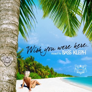Wish You Were Here (mixed by Bass Kleph) [Explicit]