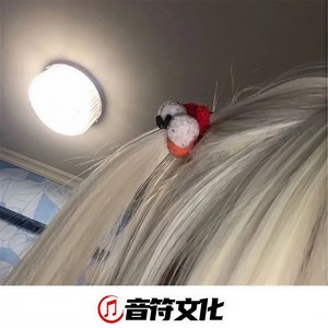 洪荒之力 (DJ版)