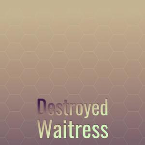 Destroyed Waitress