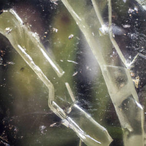 X-Control (Eden Burns remix|Explicit)