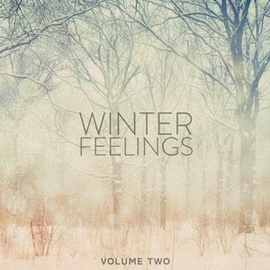 Winter Feelings, Vol. 2