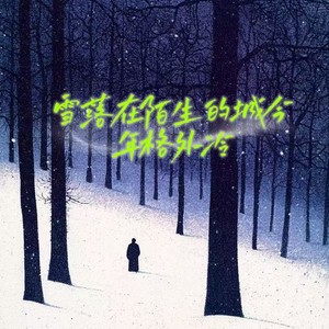 雪落在陌生的城今年格外冷
