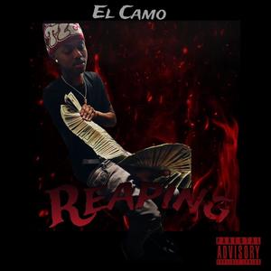 Reaping (Explicit)