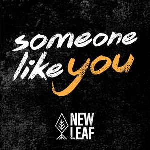 Someone Like You (feat. The Simpkin Project)