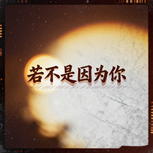 若不是因为你 (深情女版) - 张垚垚封面