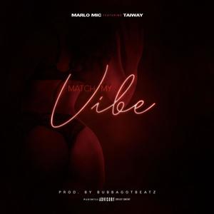 Match My Vibe(feat. Taiway) (Explicit)