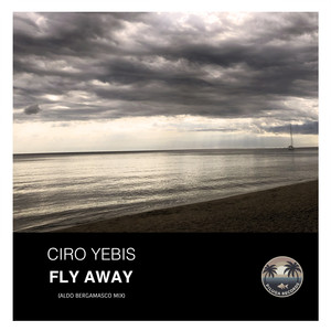 FLY AWAY (Aldo Bergamasco Mix)