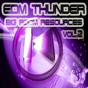 EDM Thunder, Big Room Resources Vol.2