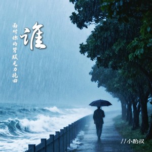 谁（面对你的背叛无力挽回） (伴奏)