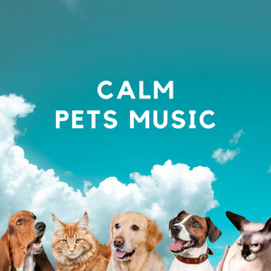 Calm Pets Music