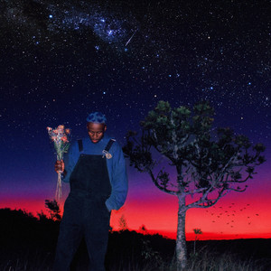 The Marshmallow Playlist (Explicit)