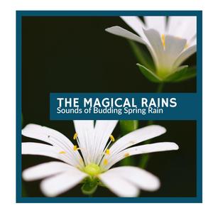 The Magical Rains - Sounds of Budding Spring Rain