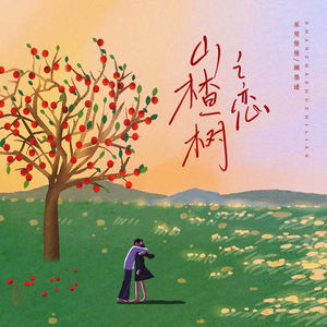 山楂树之恋